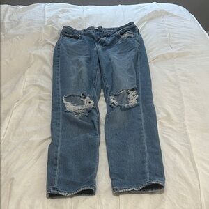 American Eagle Outfitters Womens's Relaxed Blue Jeans